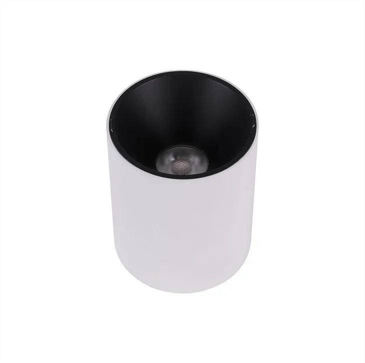 12W stropné svietidlá